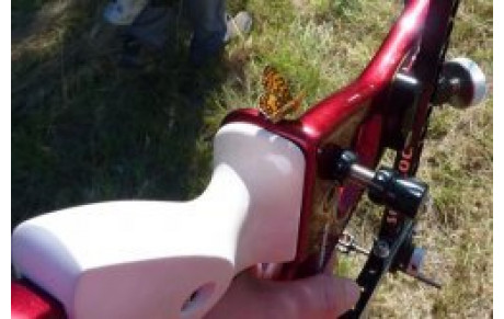 Tous dans les champs